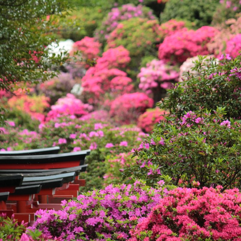 根津神社