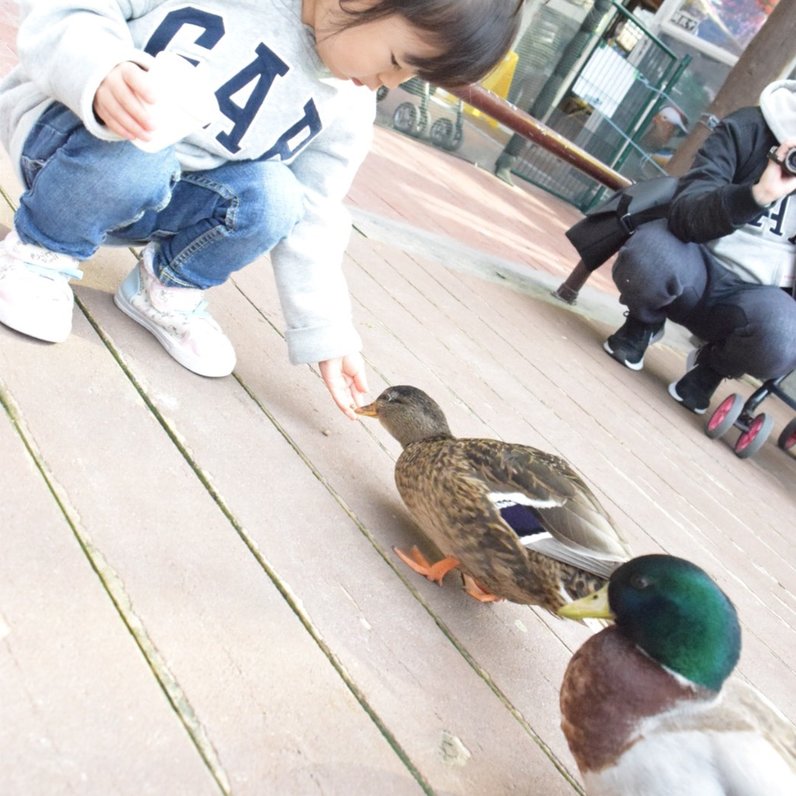 掛川花鳥園