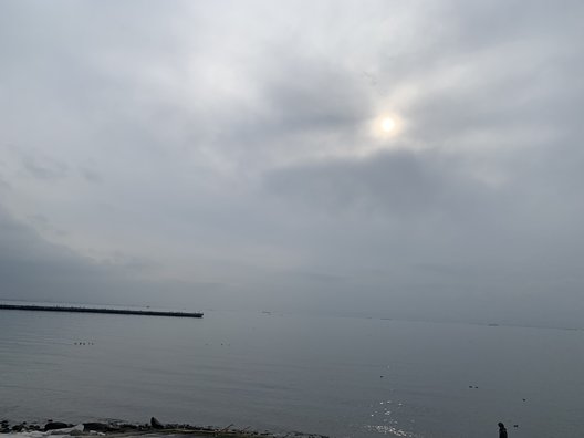 海浜公園