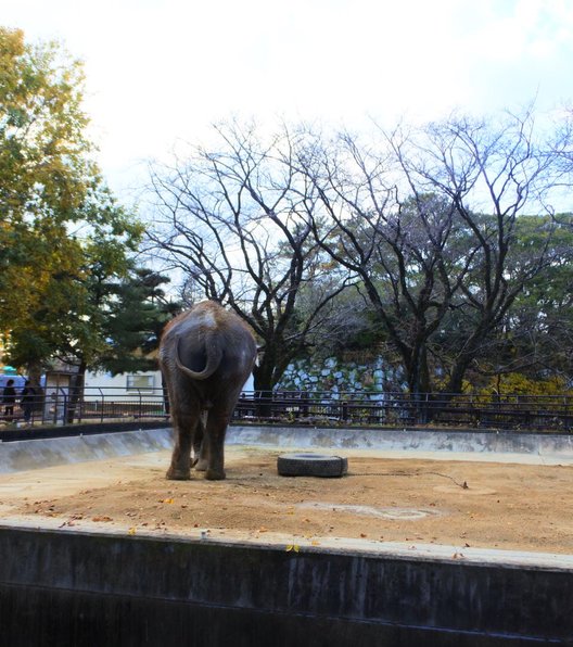 姫路市立動物園