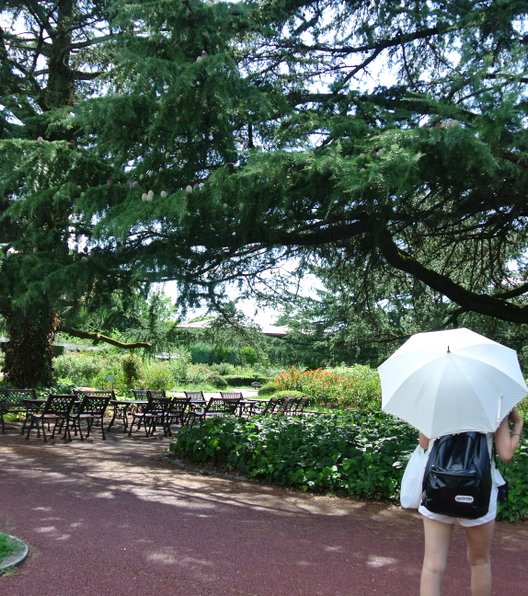 京都府立植物園