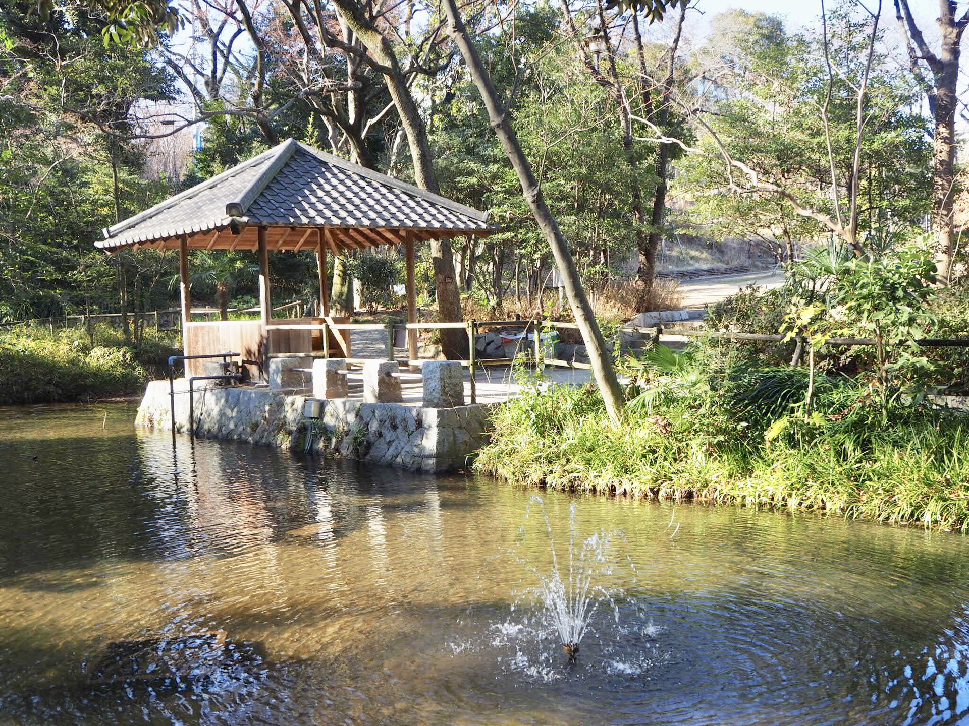 おとめ山公園