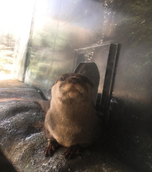 【閉館】京急油壺マリンパーク