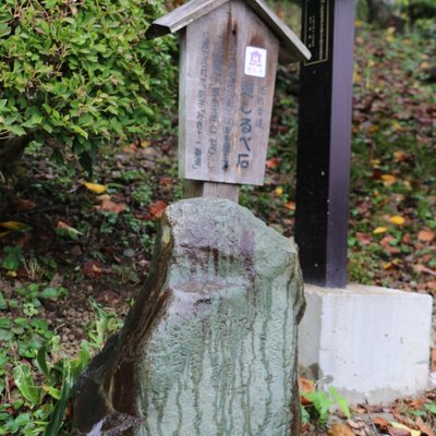 明星山 明智寺 (札所九番)