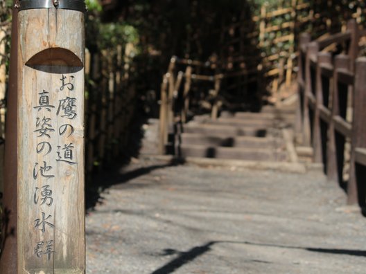 お鷹の道・真姿の池湧水群