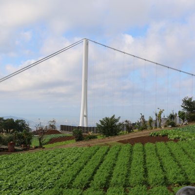 三島大吊橋 (三島スカイウォーク)