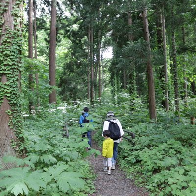 円山動物園