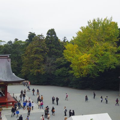 鶴岡八幡宮