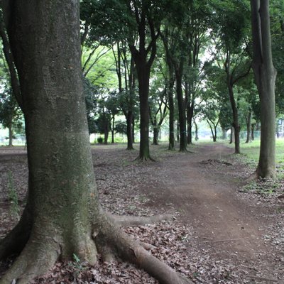 武蔵野公園