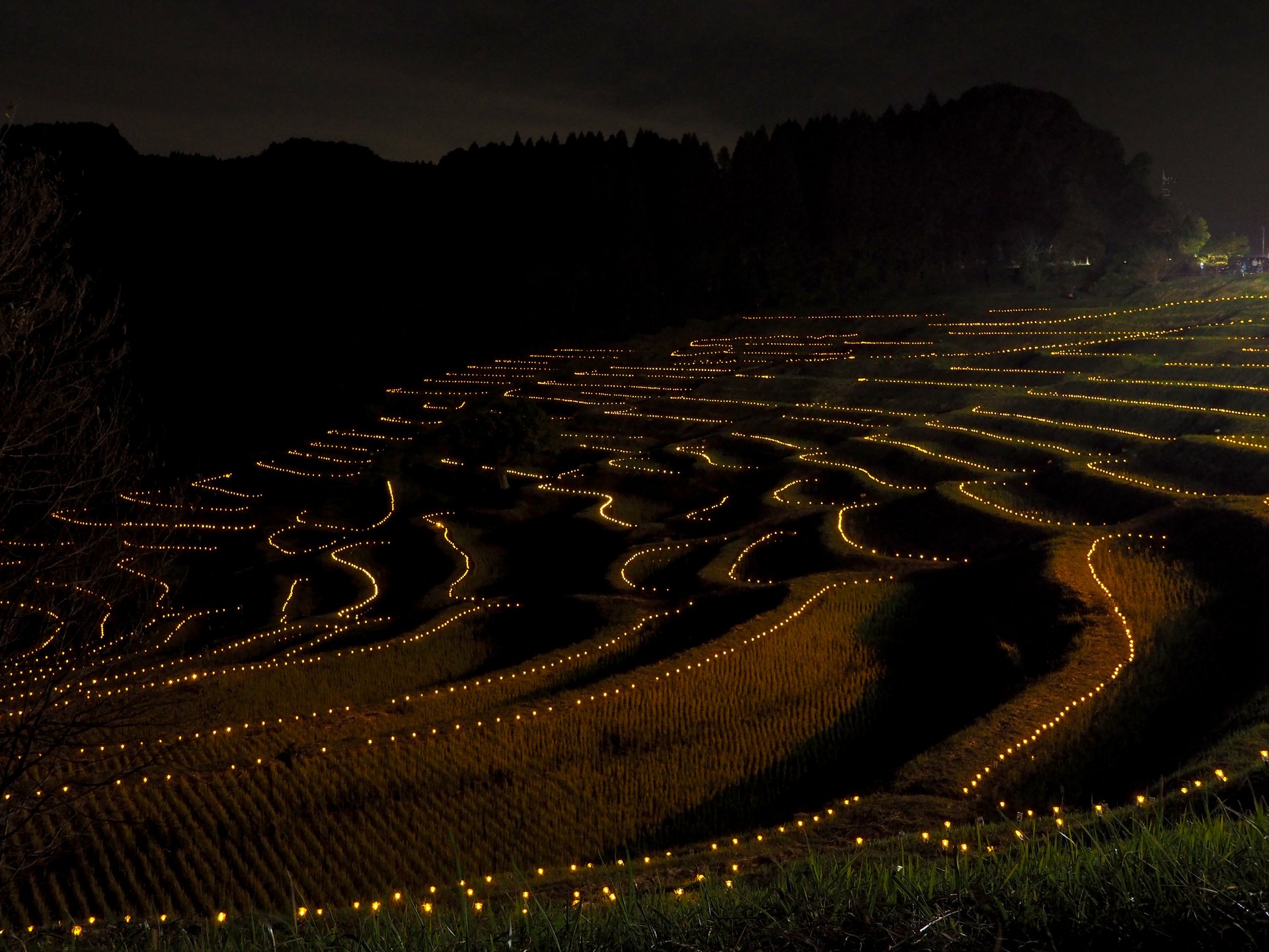 大山千枚田