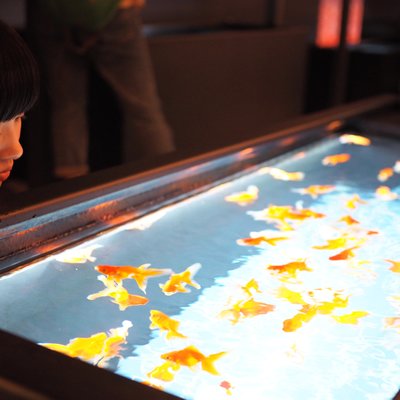 すみだ水族館