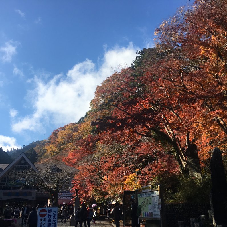 高尾山ハイキングコース