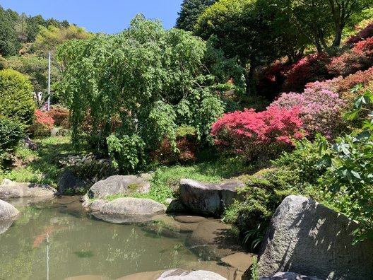 浮岳幸花樹園