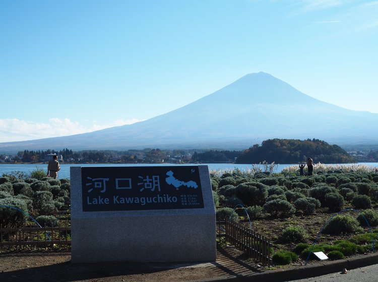 山梨旅 大石公園 と言えば ラベンダー だけど 秋の富士山 紅葉やススキの景色も美しい Playlife プレイライフ