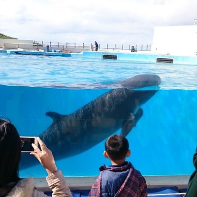 沖縄美ら海水族館