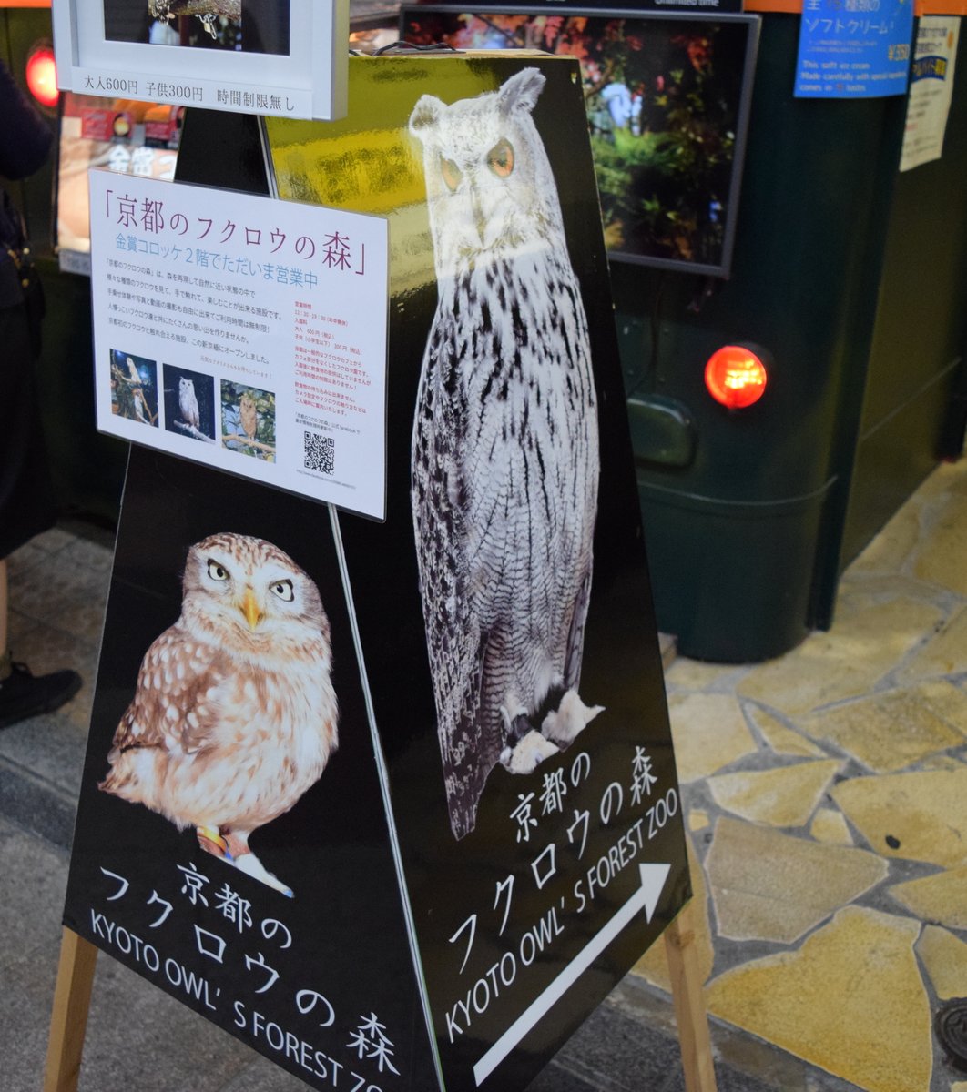 京都のフクロウの森