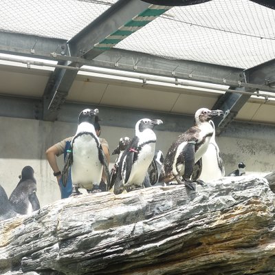 サンシャイン水族館