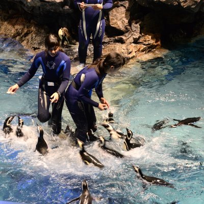 すみだ水族館