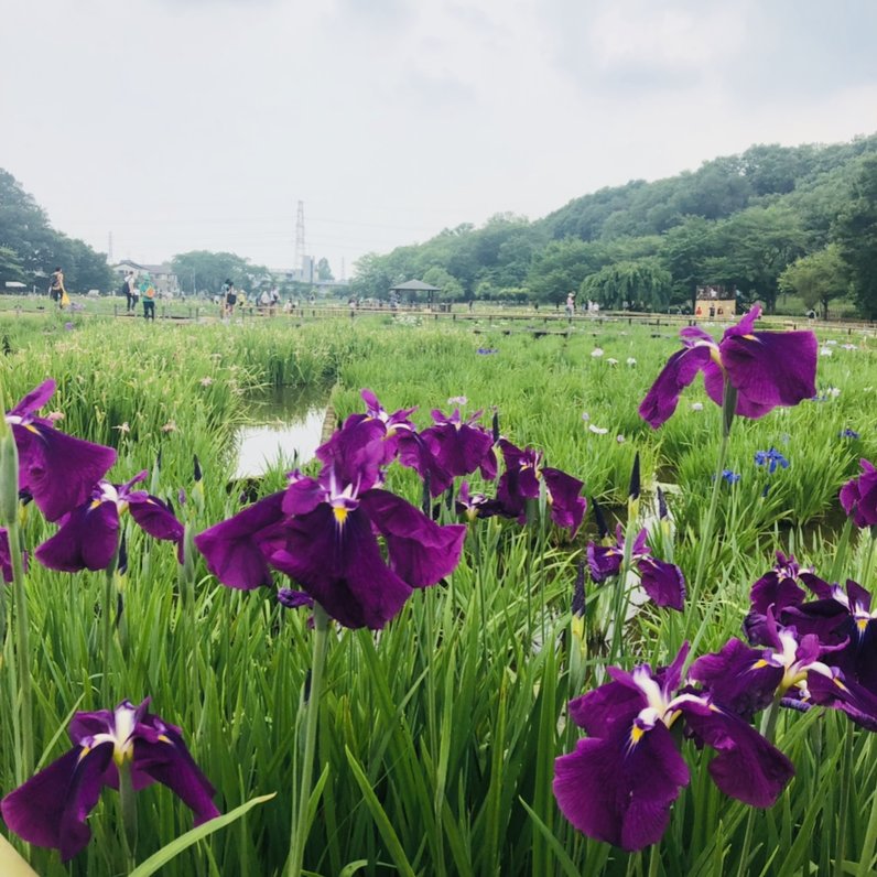 北山公園