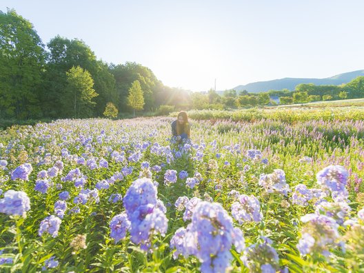 根々の丘 花えーる