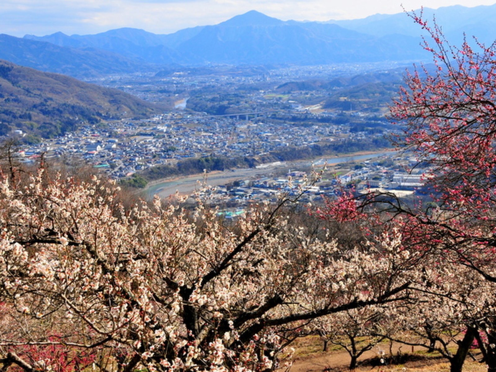 宝登山