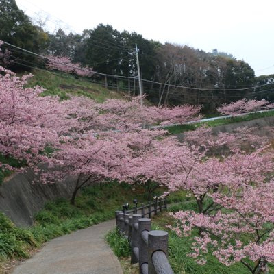 鋸南町観光協会保田案内所