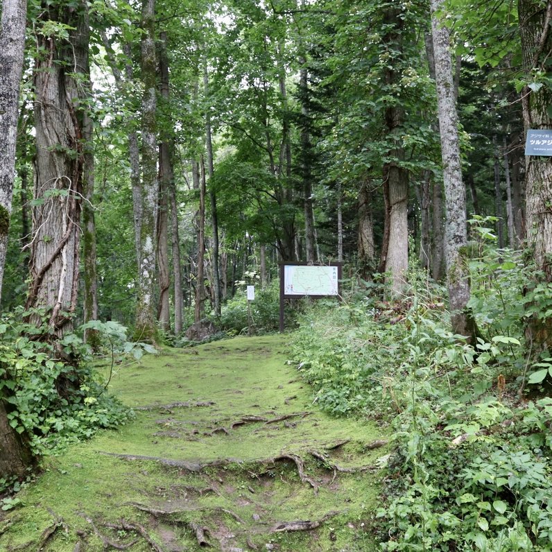 北邦野草園