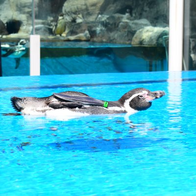 鳥羽水族館