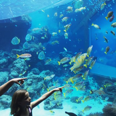 沖縄美ら海水族館