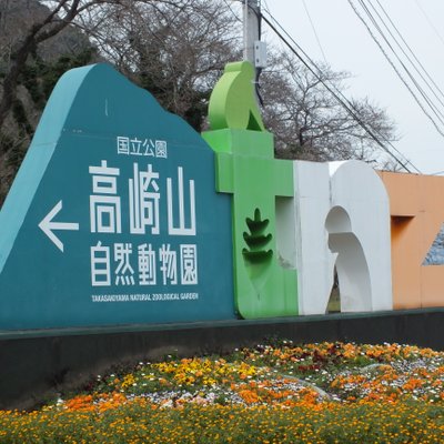 高崎山自然動物園