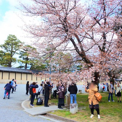 京都御苑