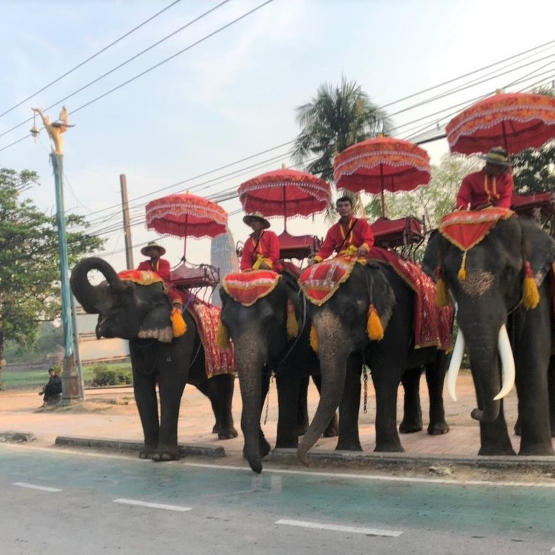 アユタヤ（Ayutthaya ）