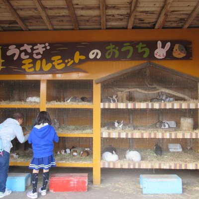 まかいの牧場