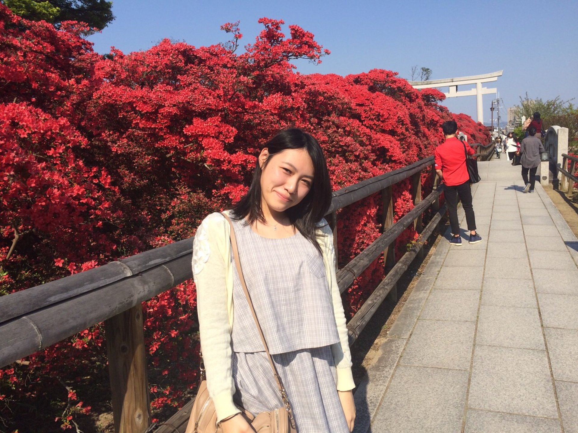 【春の京都観光穴場スポット】真っ赤なツツジが咲く長岡天満宮が綺麗すぎる！