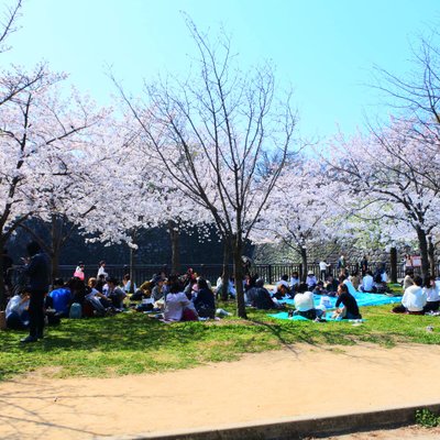 大阪城公園