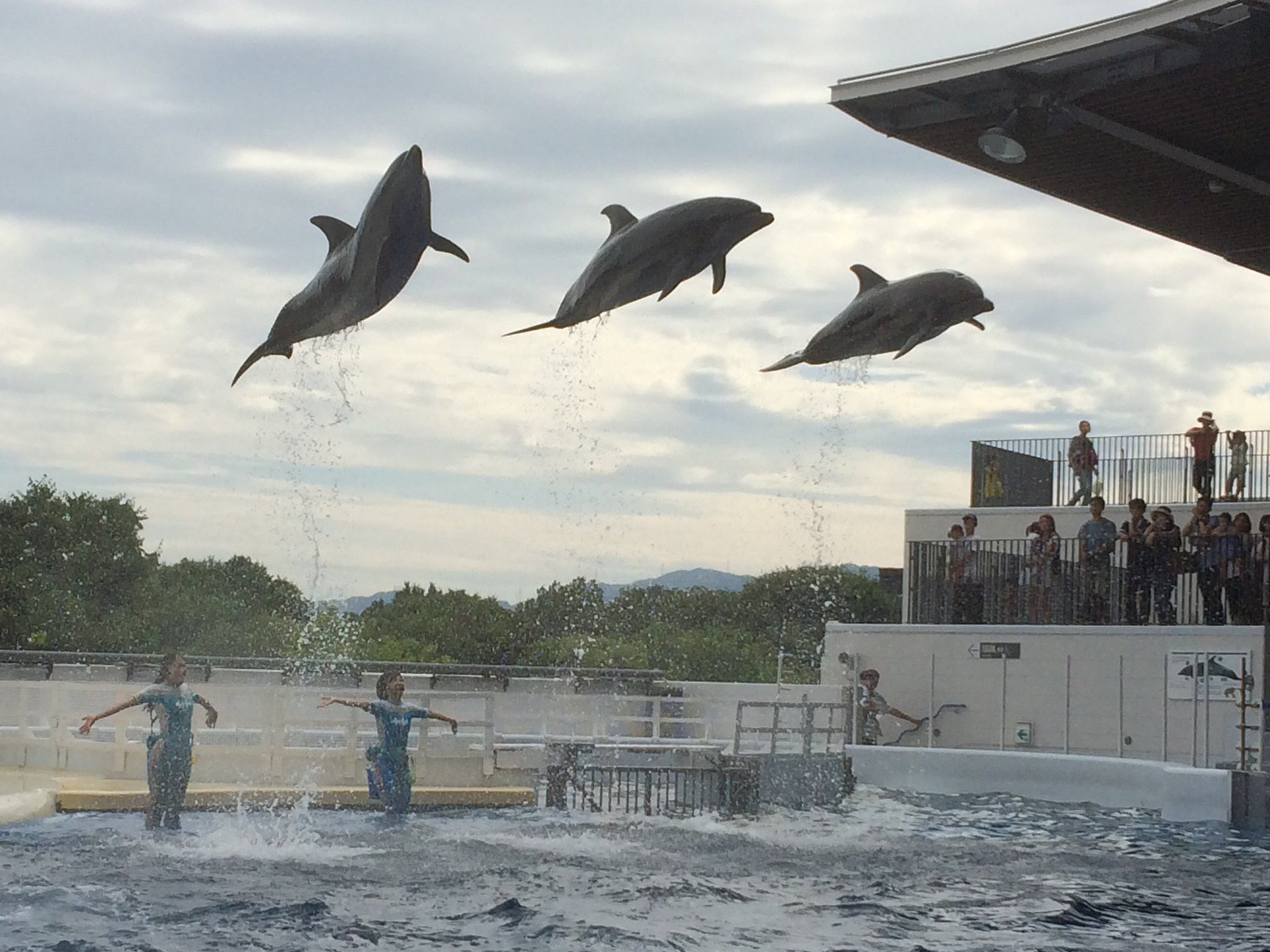 【2年連続、家族で京都水族館へ】