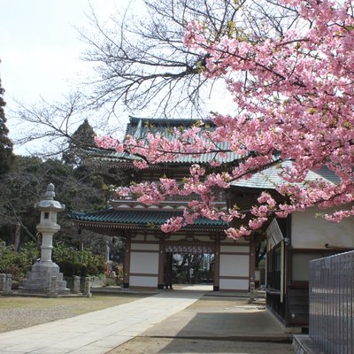 東勝寺(宗吾霊堂)