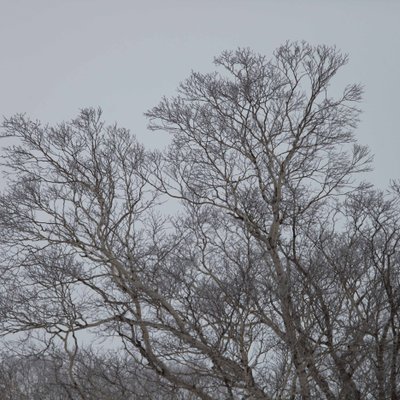 雲海テラス