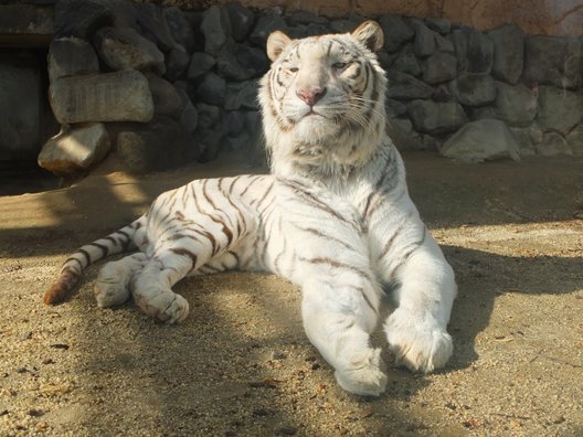 東武動物公園