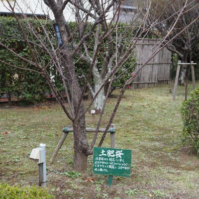 西伊豆 土肥金山（といきんざん）