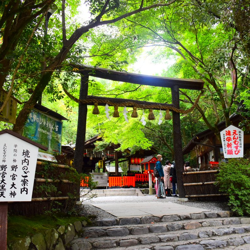 嵯峨野 竹林の道