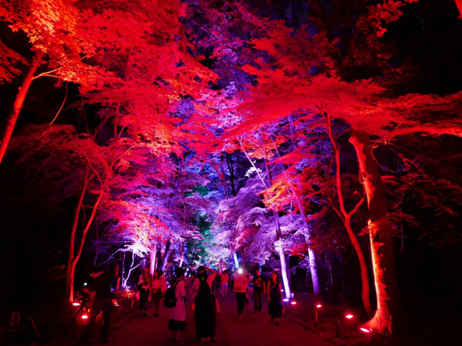 下鴨神社(賀茂御祖神社)