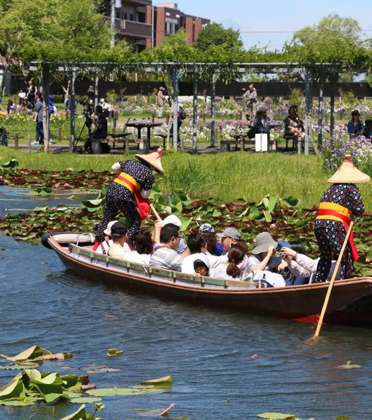 水郷佐原あやめパーク