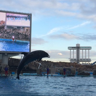 名古屋港水族館