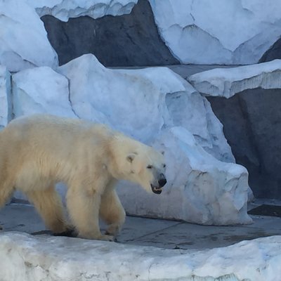 東京都恩賜上野動物園