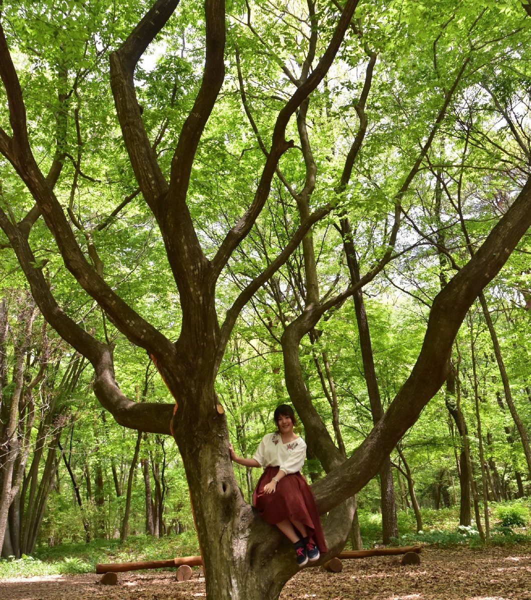 赤城自然園