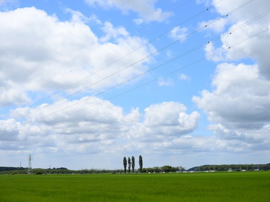 佐倉ふるさと広場