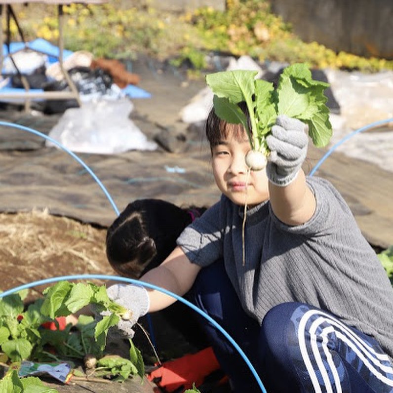 サポート付き市民農園「シェア畑」（下高井戸）