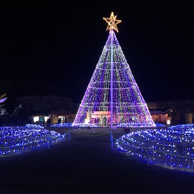 国営讃岐まんのう公園