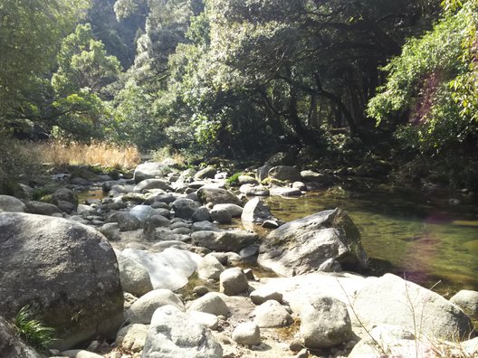 中ノ島公園